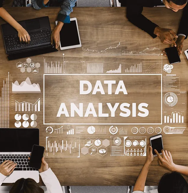 Data Analysis & Reporting